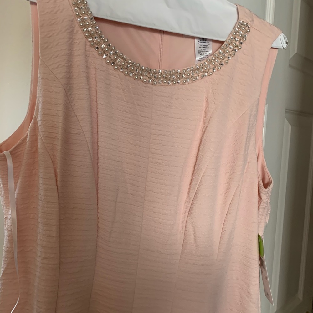 A blush/pink NWT dress. Knee length